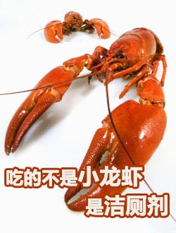 再现龙虾门