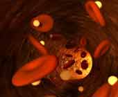 ������̼����