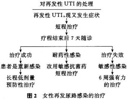 诊疗常识_尿路感染_其他_疾病库_医网