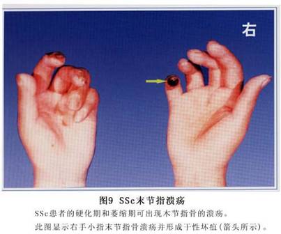 20100420103951460.jpg