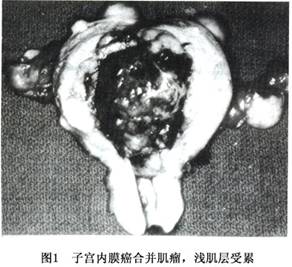 20100403111858262.jpg